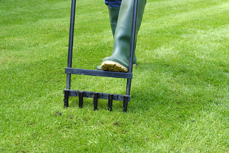 what to do after aerating lawn